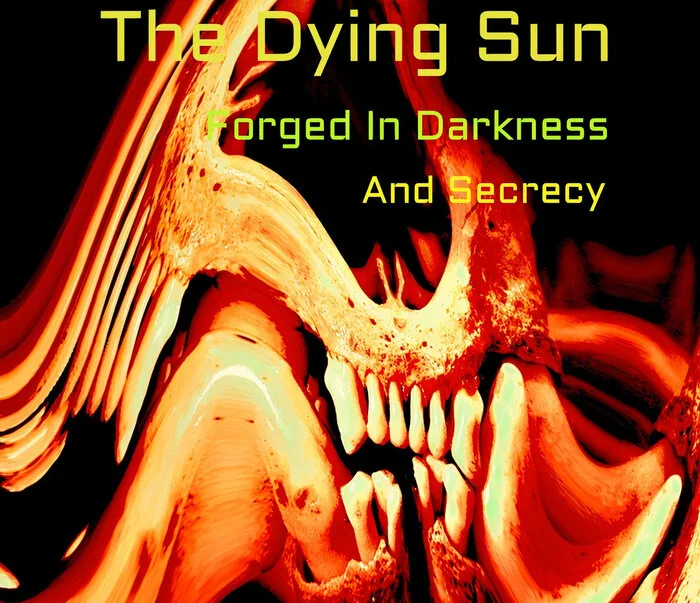 Forged in Darkness and Secrecy cover