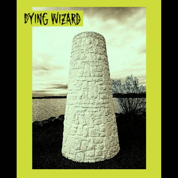 Dying Wizard cover