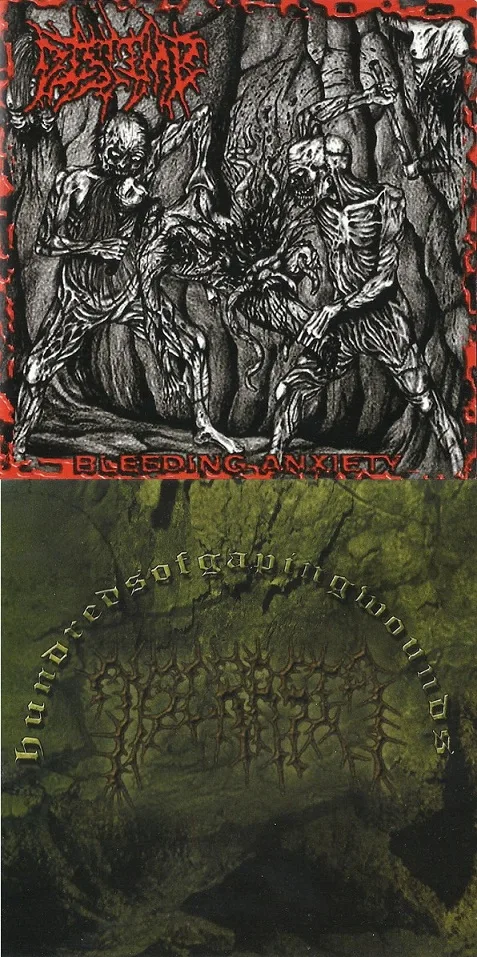 Bleeding Anxiety / Hundreds of Gaping Wounds cover