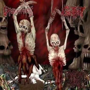 Excruciatingly Euphoric Torment cover