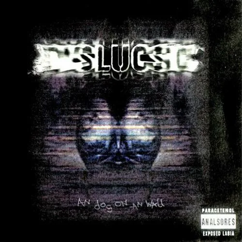 An Dog on an Wall cover