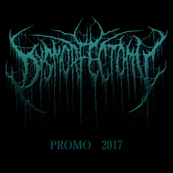 Promo 2017 cover