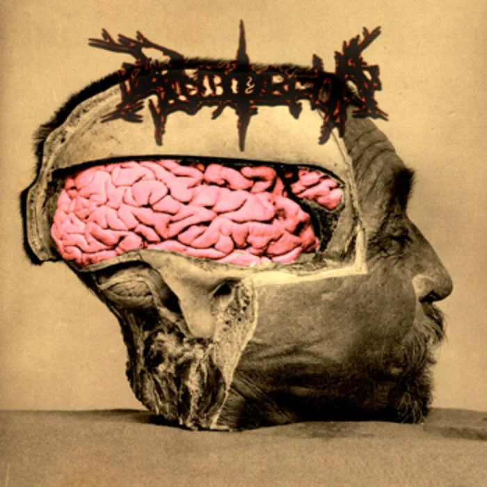 Dysmorpha cover