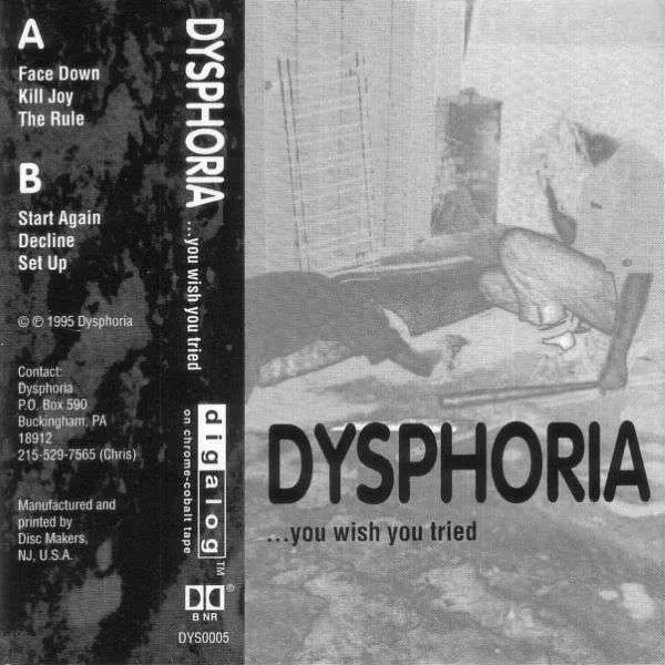 ...You Wish You Tried cover