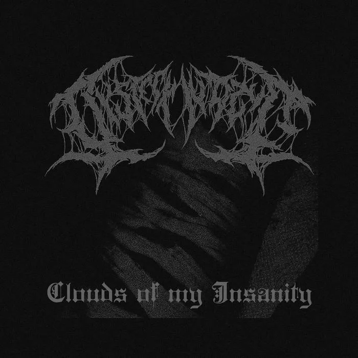 Clouds of My Insanity cover