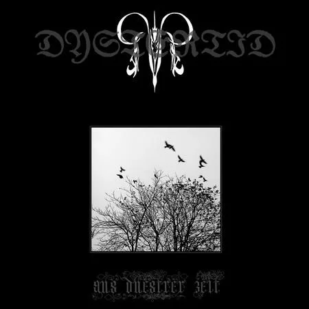 Aus duestrer Zeit cover