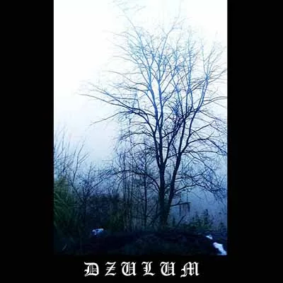 Cosmic Visions of Desolated Souls cover