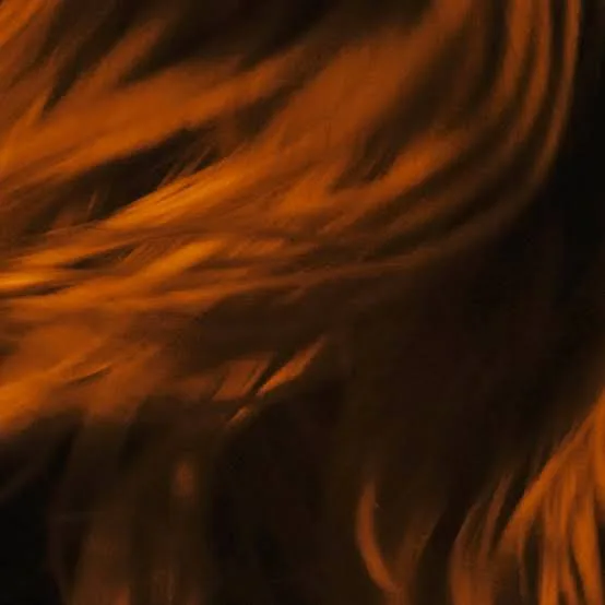 Fleurs of Decay cover