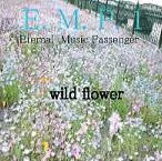 Wild Flower cover