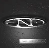 Thru the Thorns cover