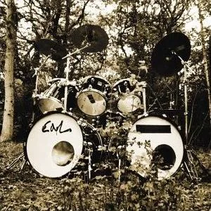 Two Rooms (Full of Insects) cover