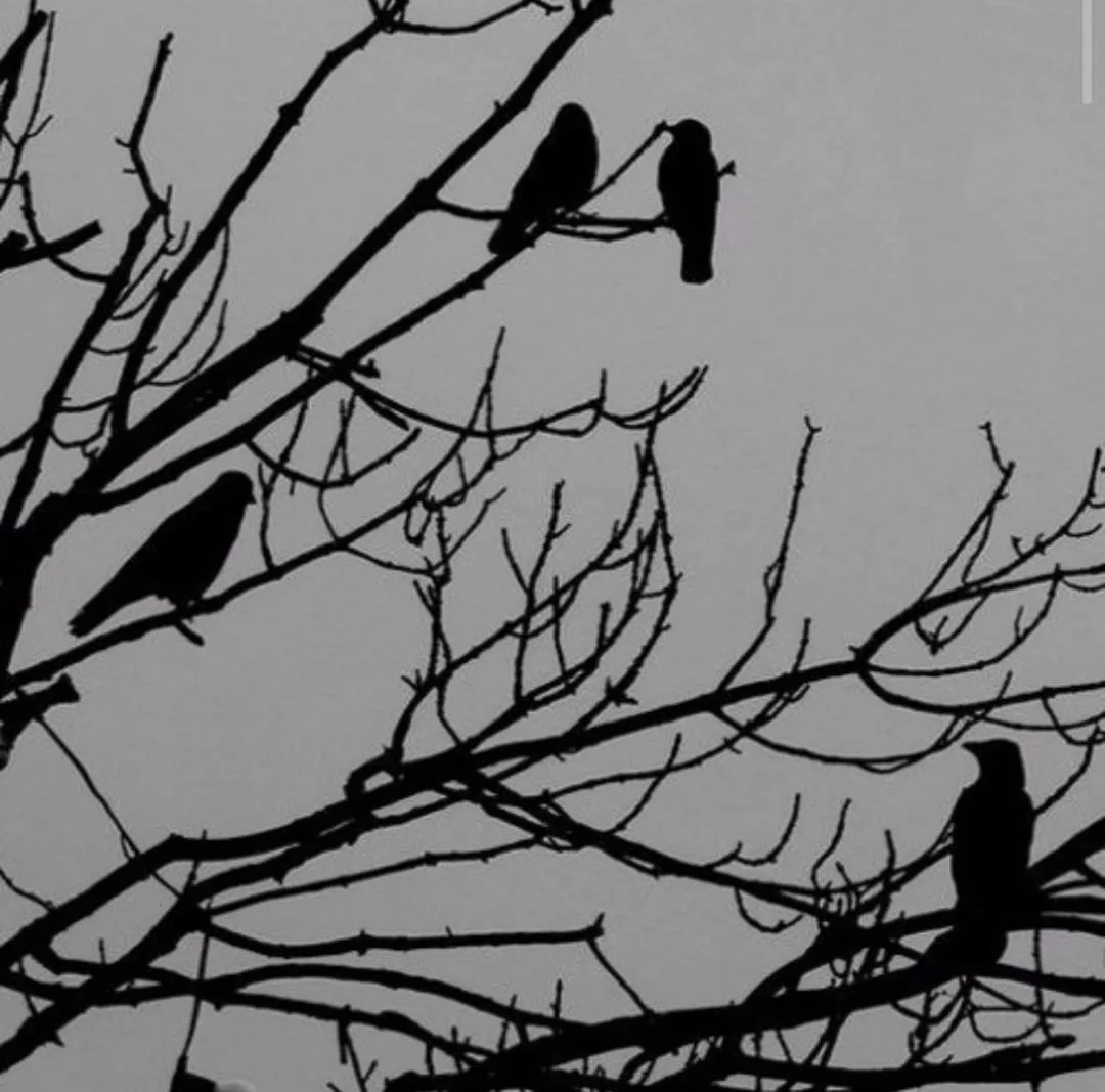 Don't Forget My Name cover