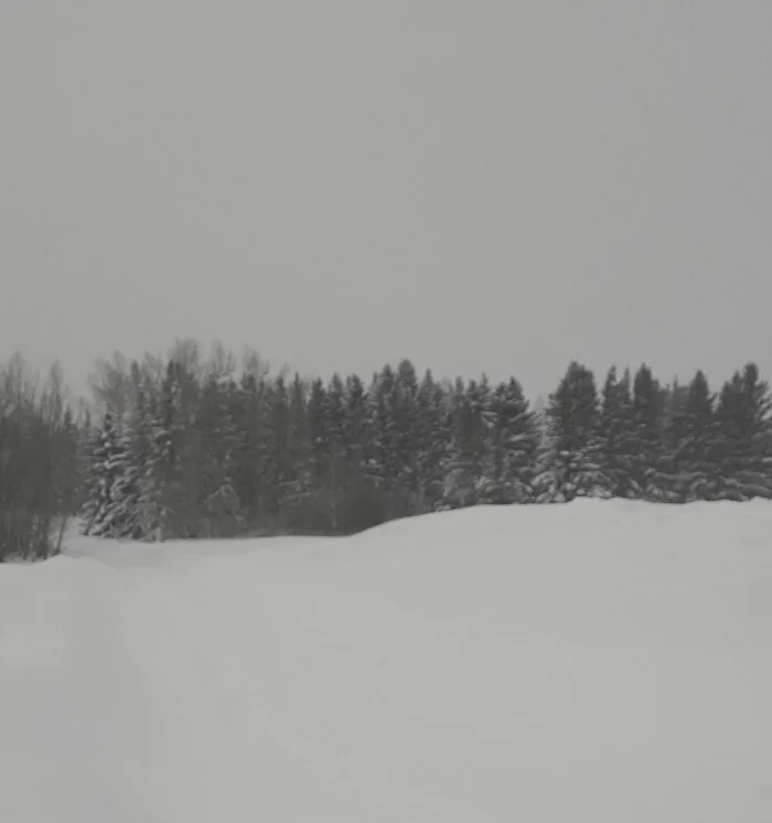 Serenity from Destruction cover