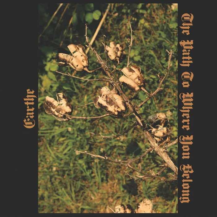 The Path to Where You Belong cover