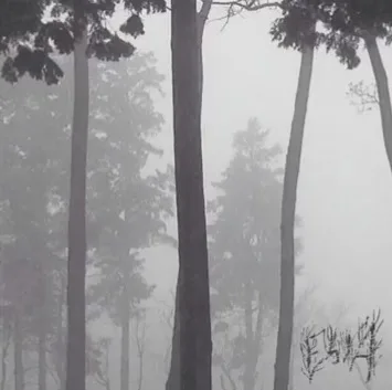 Ebola Herorrhagic Fever cover