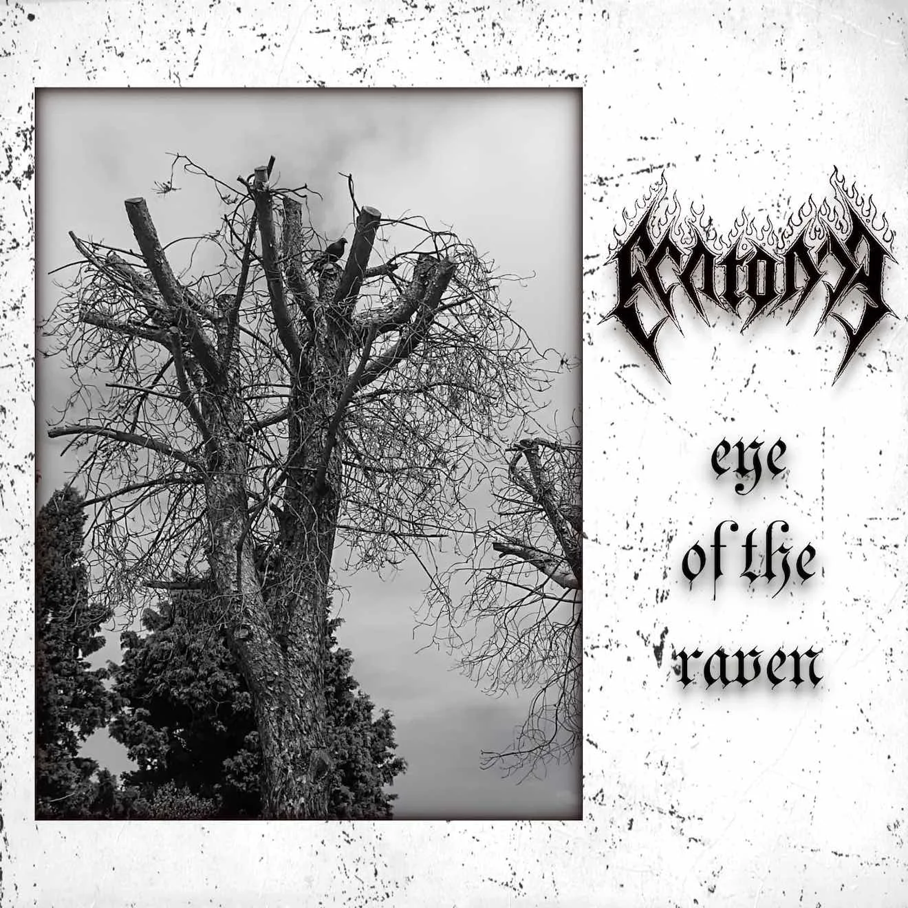 Eye of the Raven cover