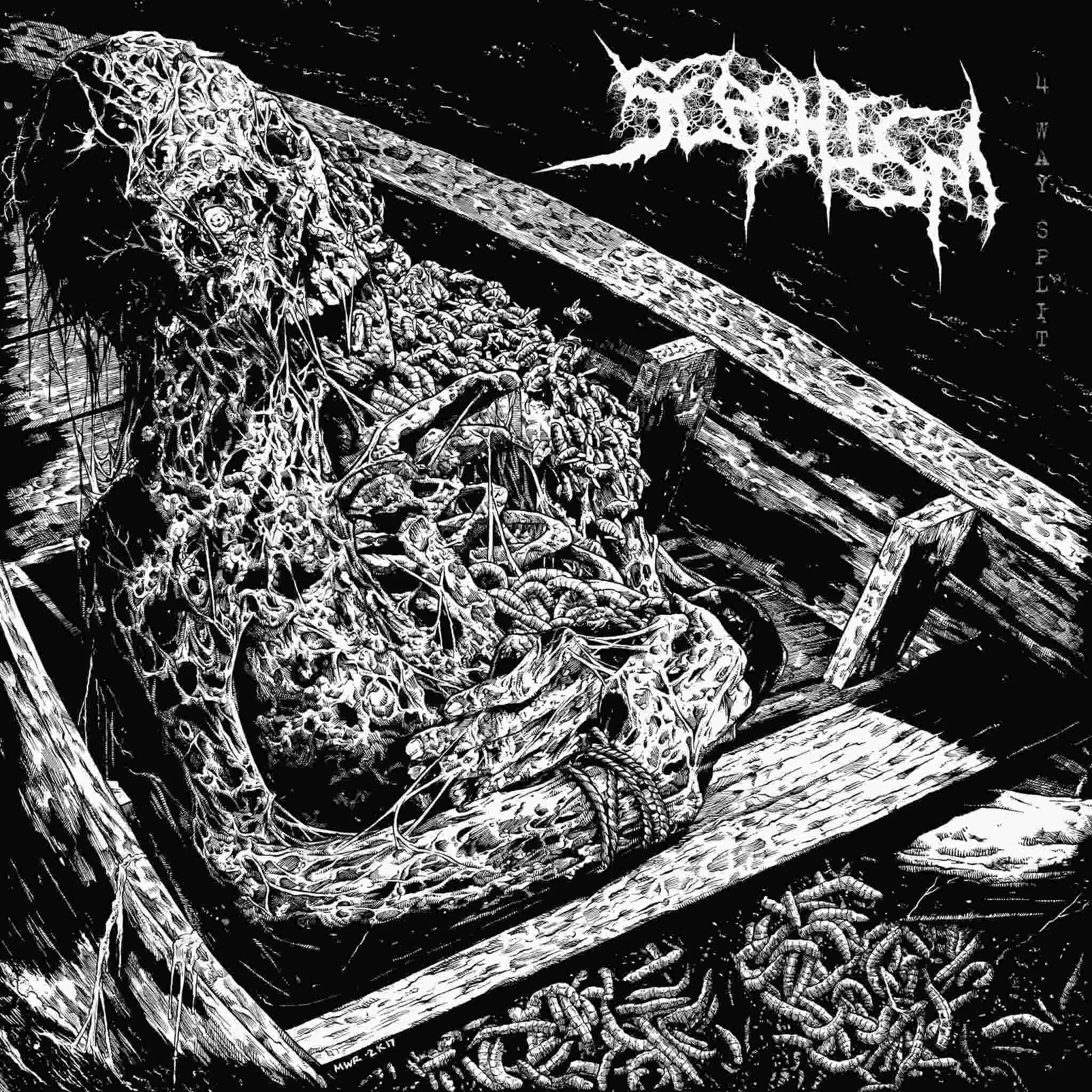 Scaphism cover