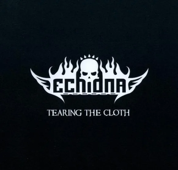 Tearing the Cloth cover