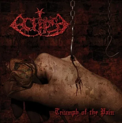 Triumph of the Pain cover