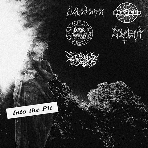 Into the Pit cover