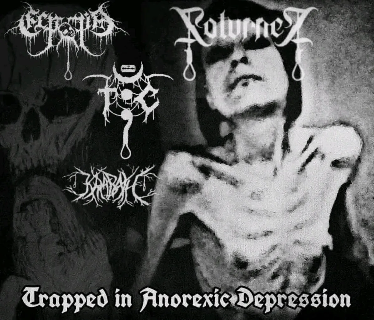 Trapped in Anorexic Depression cover