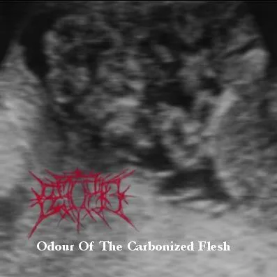 Odour of the Carbonized Flesh cover