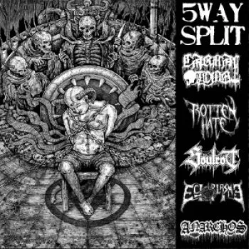 5 Way Split cover