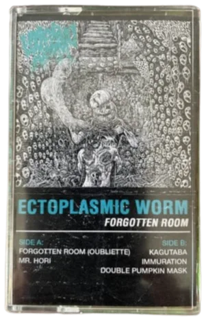 Forgotten Room cover