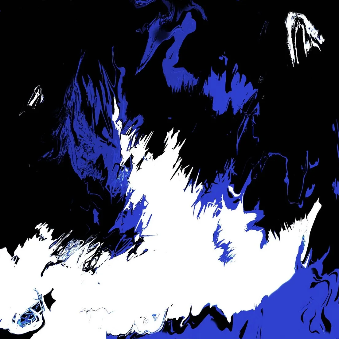 The Fifth Race cover