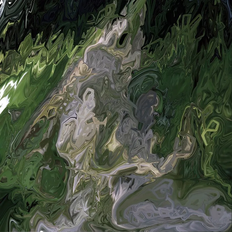 Phantom Forest cover