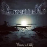 Camino a la luz cover