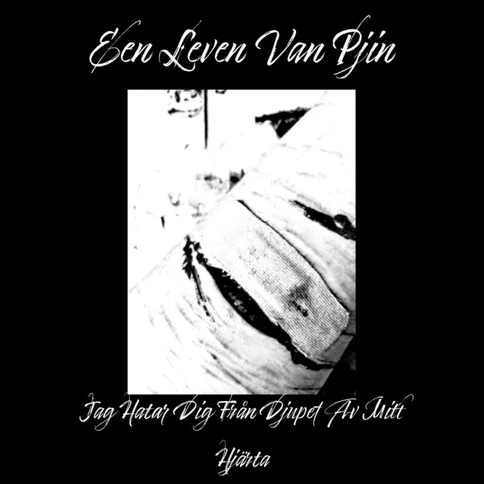 Jag hatar dig från djupet av mitt hjärta cover