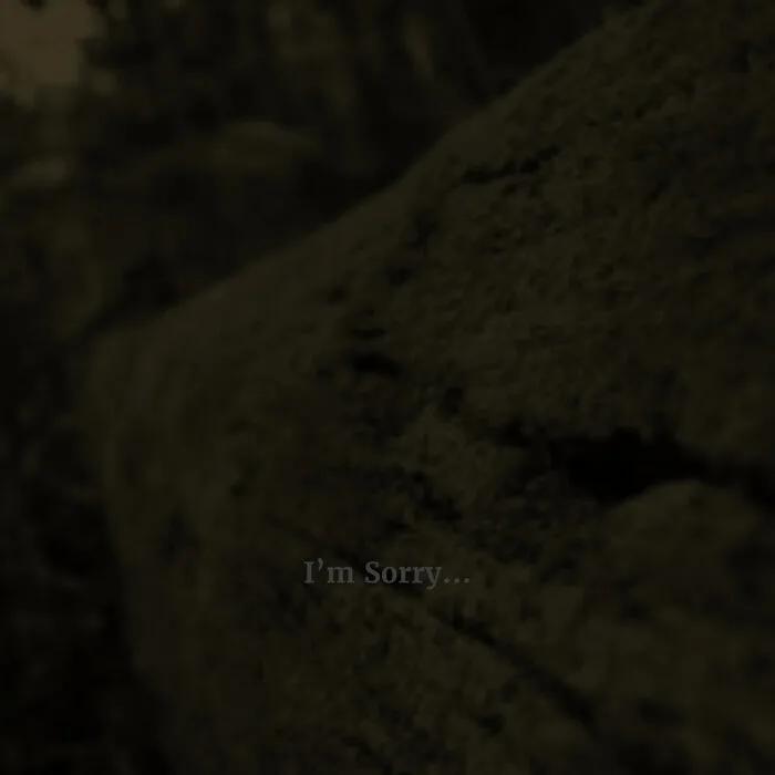I'm Sorry... cover
