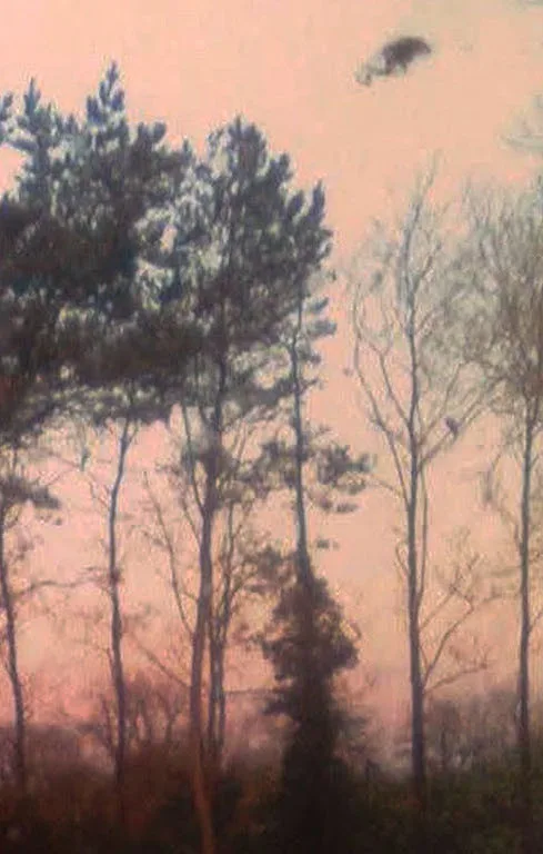 Silver Bridge in December / Apostasy from the Binds of the Tangible cover