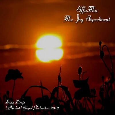 The Joy Experiment cover