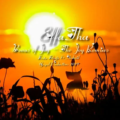 Bonus of Joy - The Joy Remixes cover