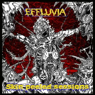 Skin Peeled Sessions cover