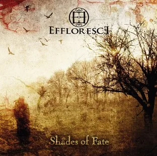Shades of Fate cover