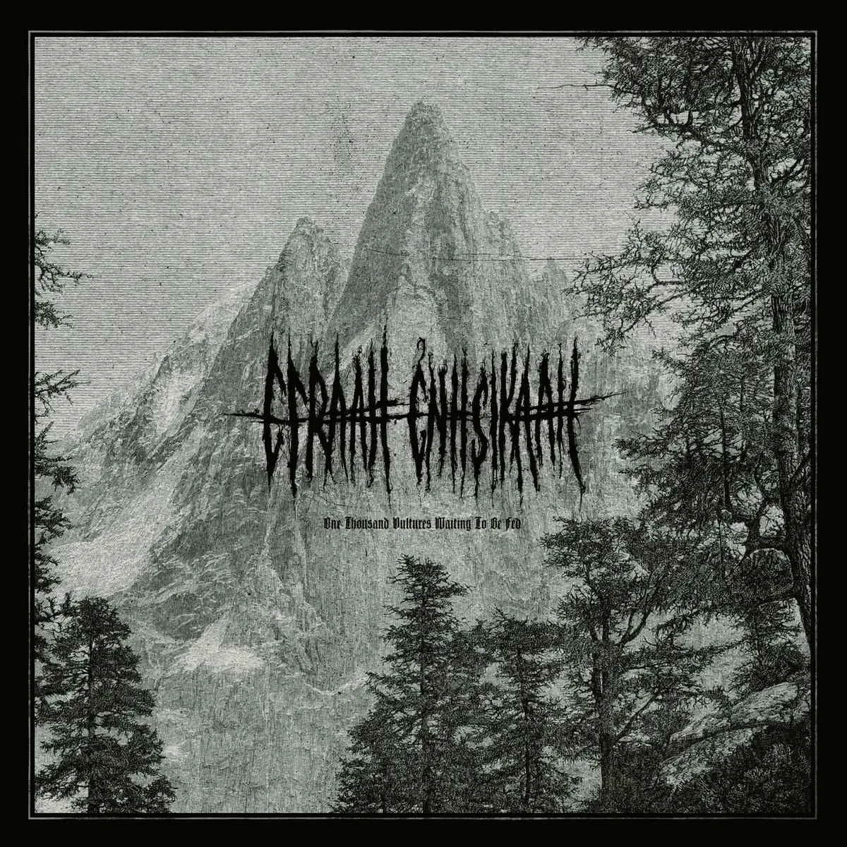 One Thousand Vultures Waiting to Be Fed cover