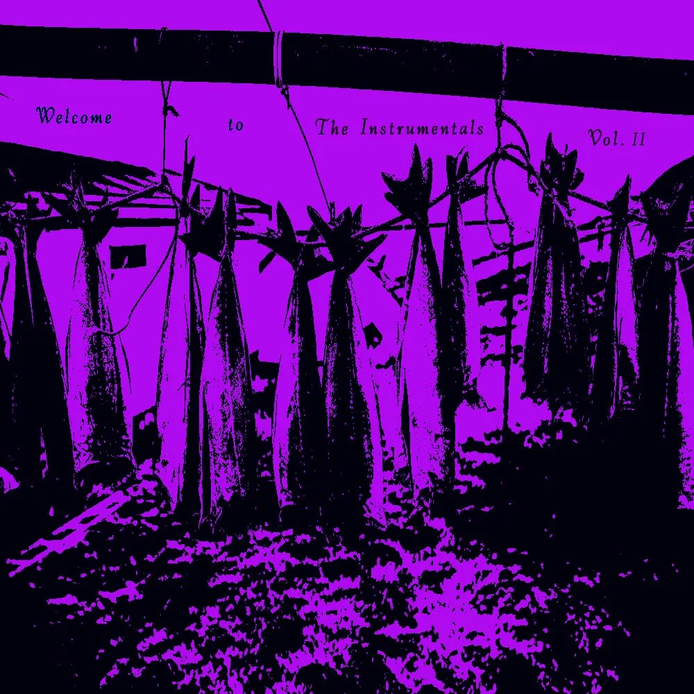 Welcome to the Instrumentals Vol. II cover