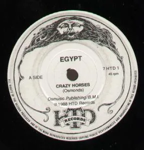 Crazy Horses / Got No Fear cover