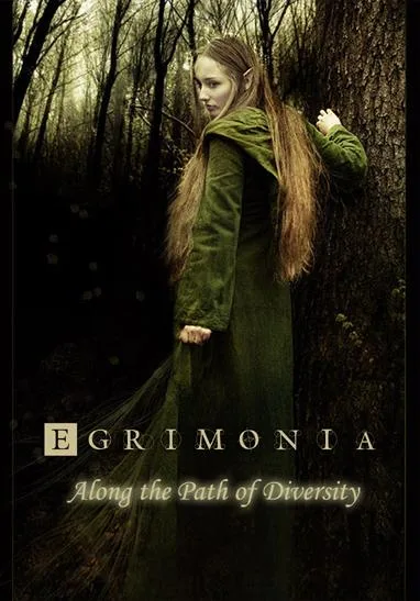 Along the Path of Diversity cover