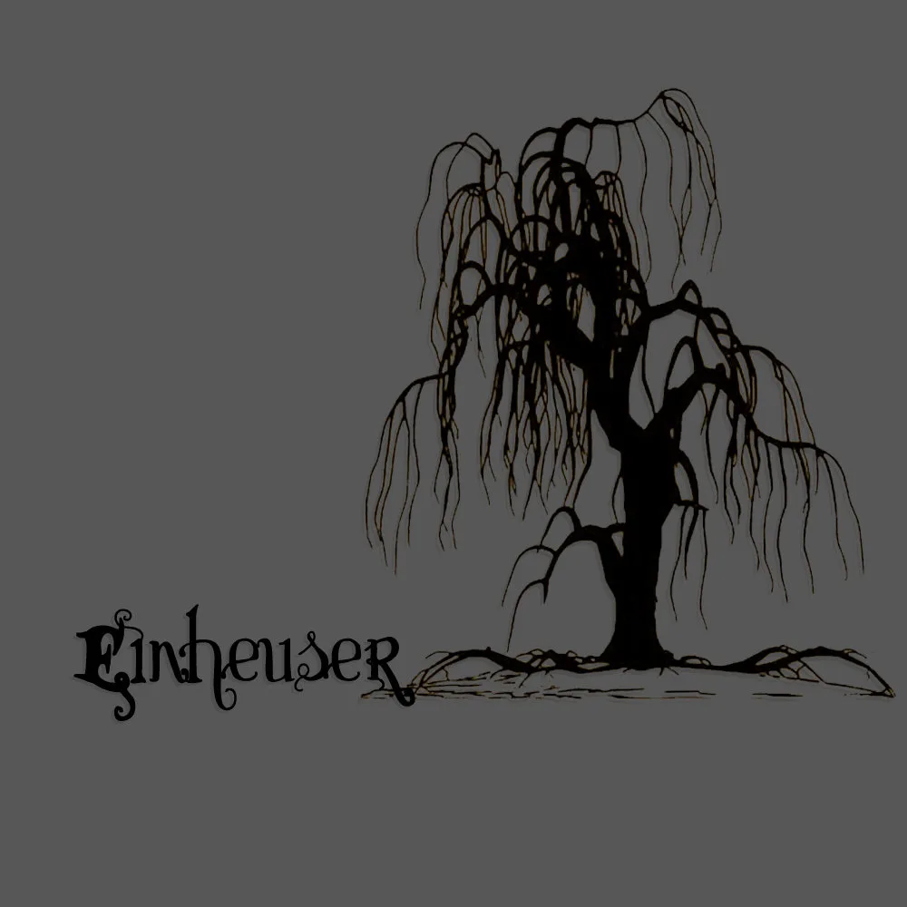 Einheuser cover