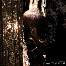 Ohne Titel Vol. II cover