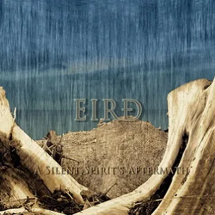 A Silent Spirit's Aftermath cover