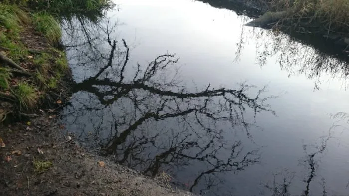 Silent Waters (Running Deep) cover