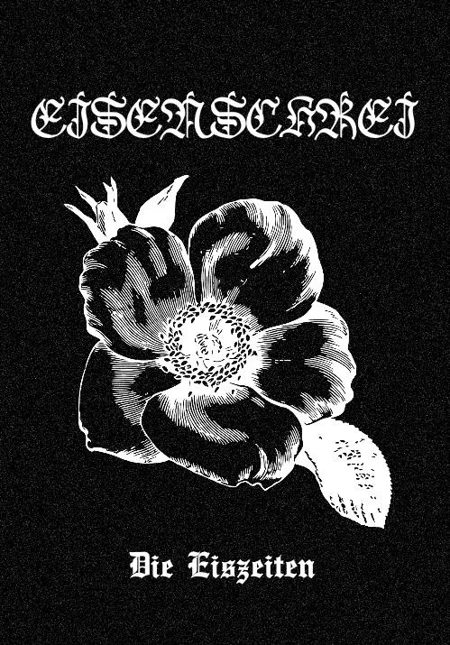 Die Eiszeiten cover