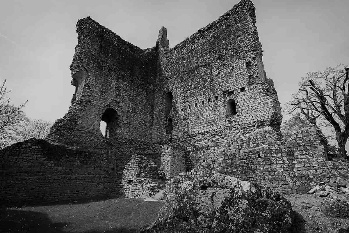 Immergrimm & Steinernseel cover