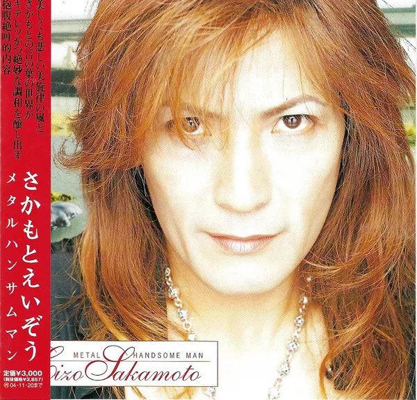 Metal Handsome Man cover