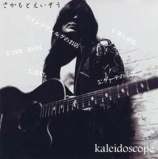 Kaleidoscope cover